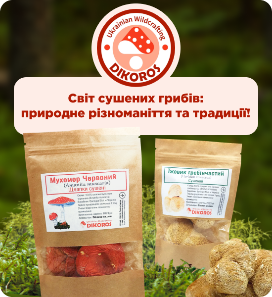 сушені гриби купити від виробника Дікорос
