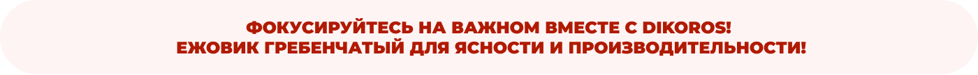 купить ежевик гребенчатый для ежедневной поддержки в Дикоросе