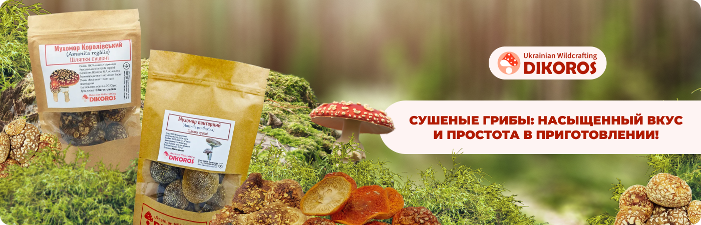 купить сушеные мухоморы у поставщика Dikoros