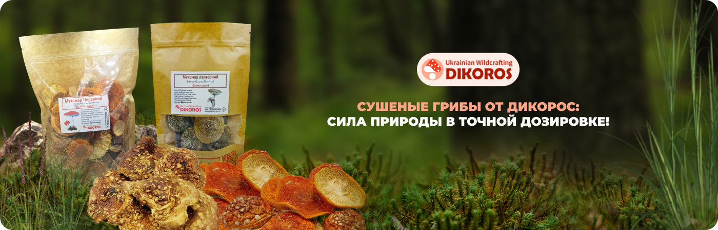 Купить сушеные мухоморы и другие грибы в Дикорос