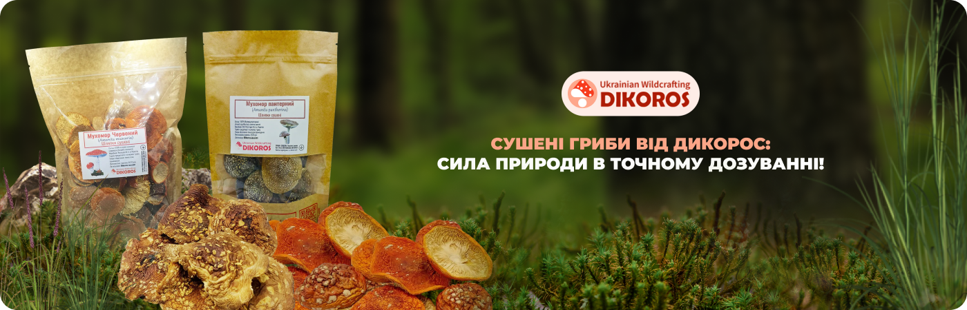 Купити сушені мухомори та інші гриби в Дікорос