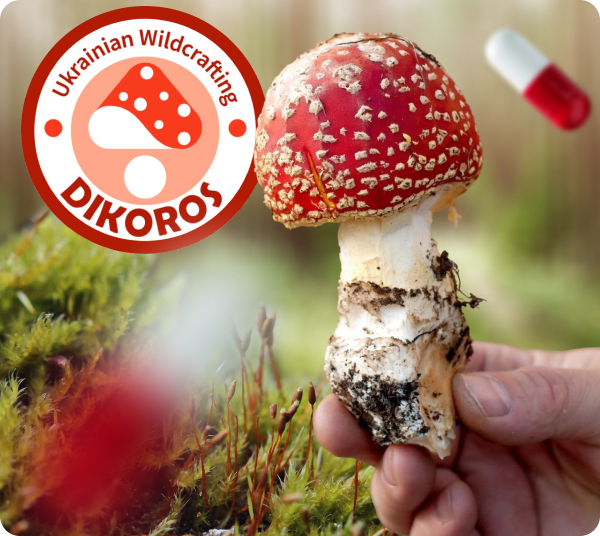 мікродозинг купити в Dikoros ЮА