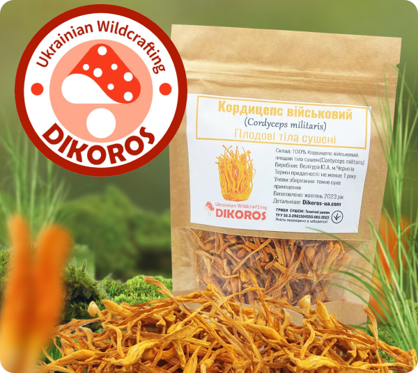 кордицепс військовий замовити від виробника Dikoros