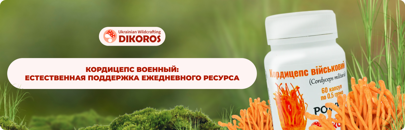 кордицепс военный купить в интернет-магазине Дикорос