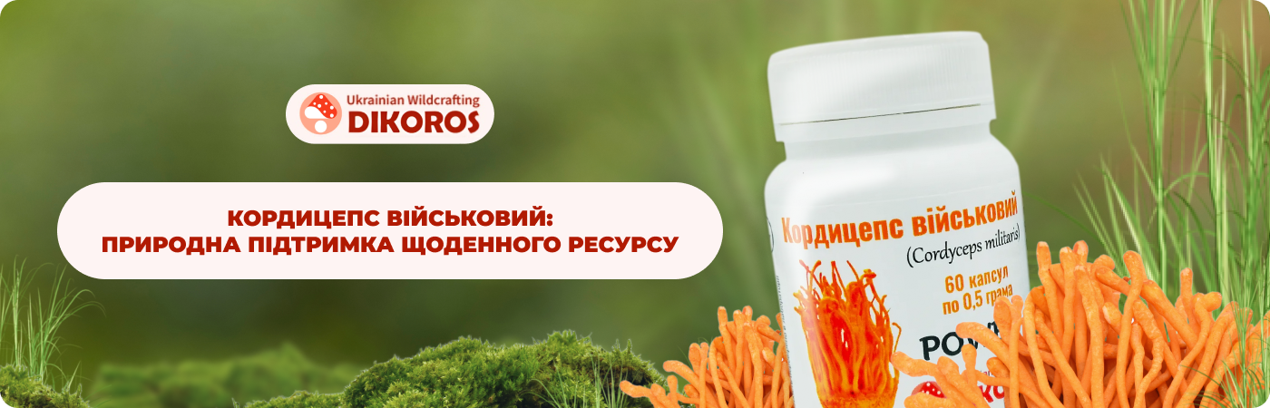 кордицепс військовий купити в інтернет-магазині Дікорос