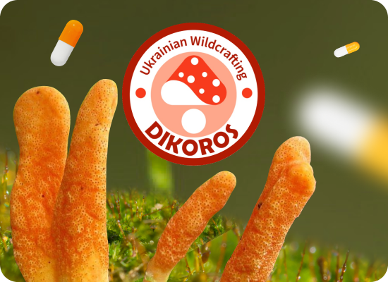 купити мікродозинг кордицепс в Dikoros