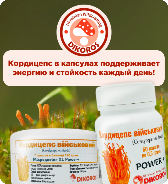 купить кордицепс в капсулах от Дикорос