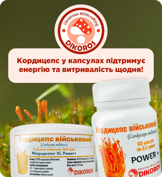 купити кордицепс в капсулах від Дікорос