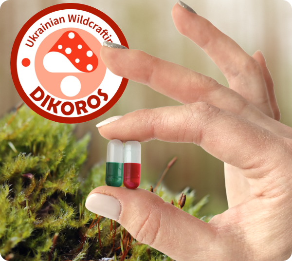 Микродозировка грибов от Dikoros купить