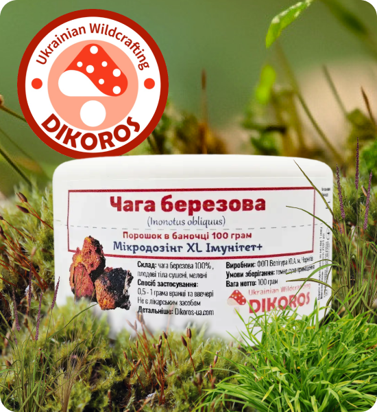 Капсули та порошок гриба чага від Дікорос