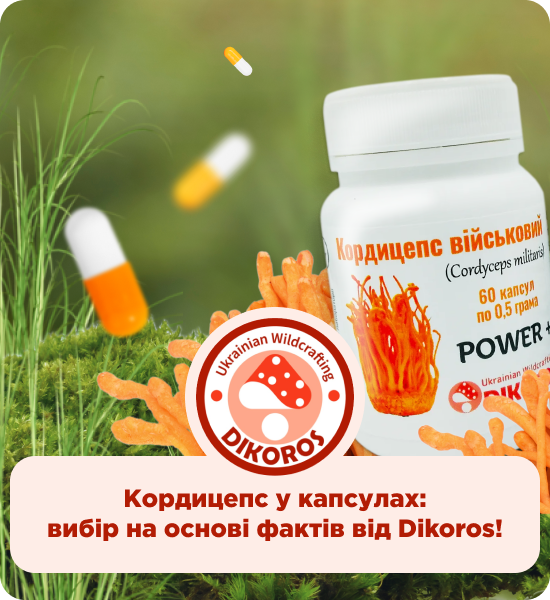 кордицепс капсули купити від виробника Дікорос