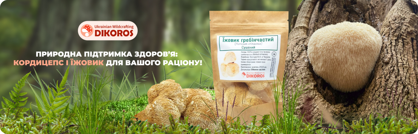 Придбати їжовик гребінчастий в інтернет-магазині Dikoros