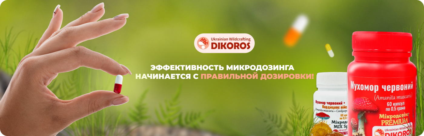 правильная дозировка микродозинга мухомора и других грибов в Dikoros