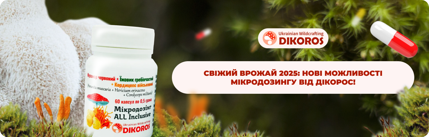 мікродозинг купити в капсулах в інтернет-магазині DIkoros