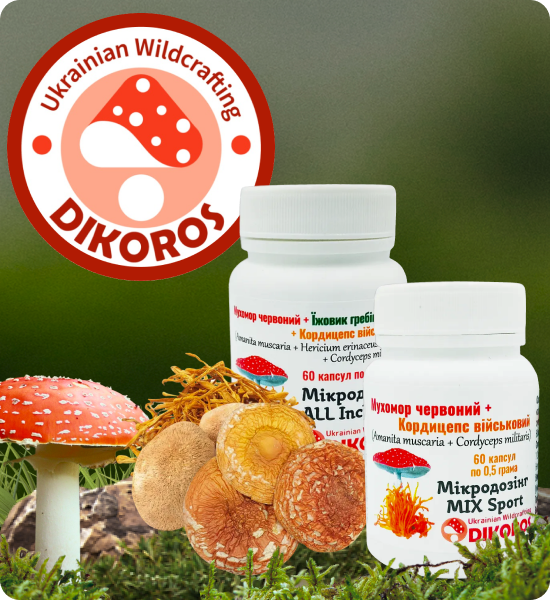 микродозинг грибов микс купить в интернет-магазине Dikoros