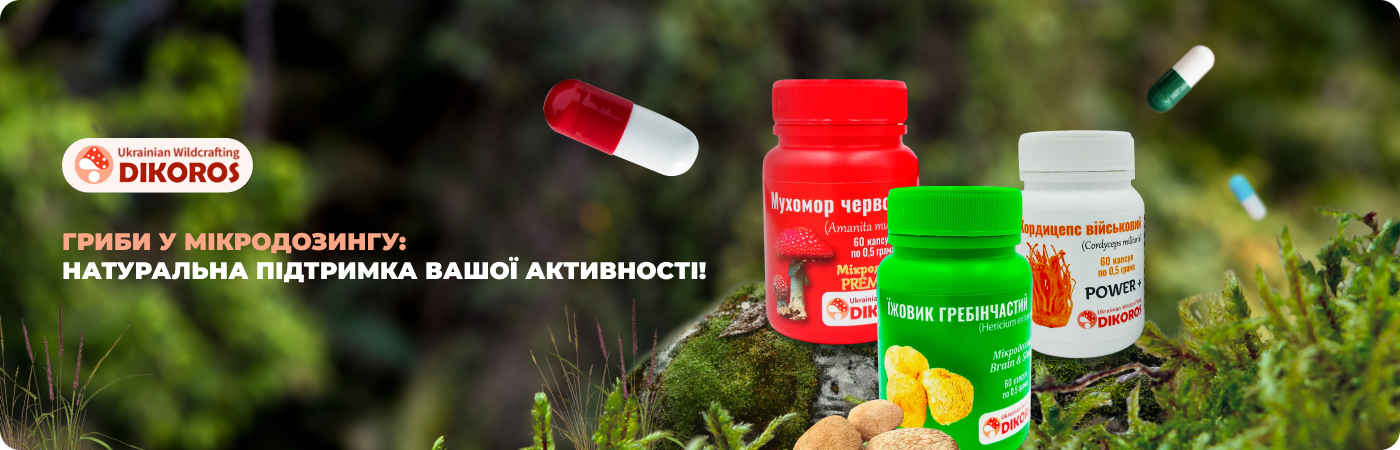 Мікродозинг популярних грибів купити у Dikoros
