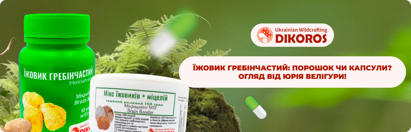 їжовик гребінчастий купити в інтернет-магазині Дікорос