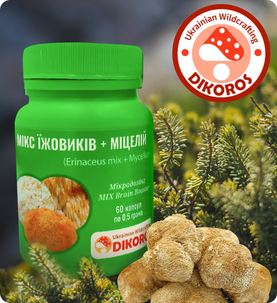 Їжовик гребінчастий капсули купити в Дікорос