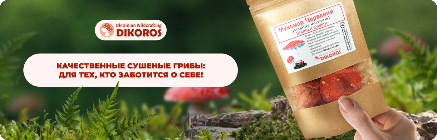 купить сушеные грибы в инетрнет-магазине DIkoros