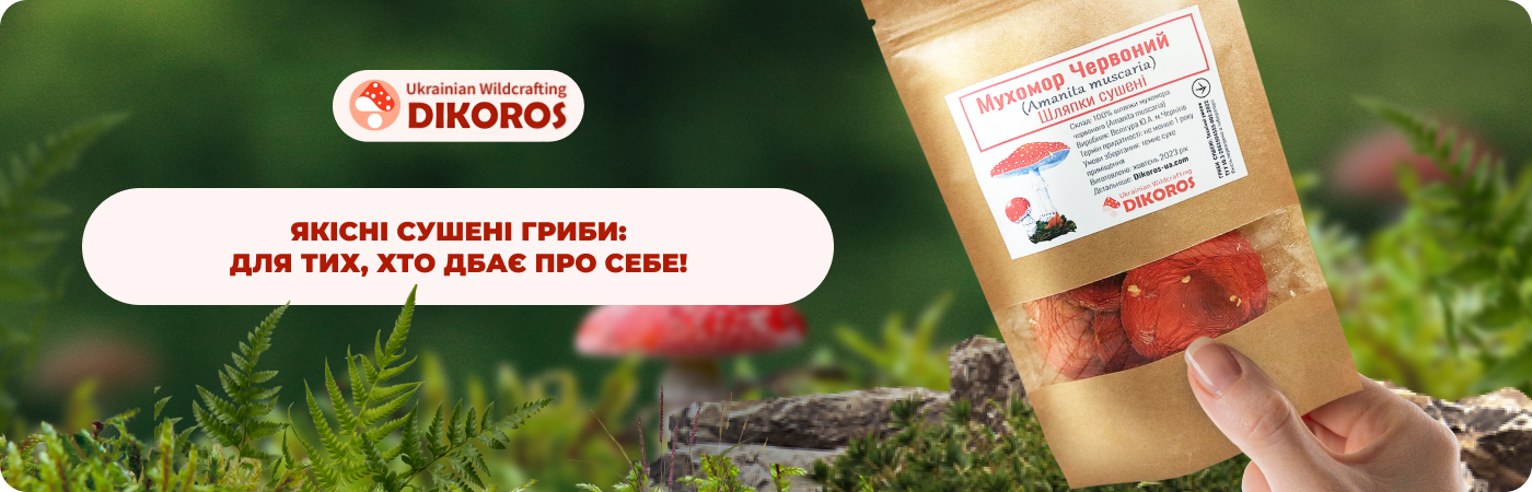 купити сушені гриби в інетрнет-магазині DIkoros